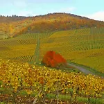 Flair-hotel Zum Benediktiner Hotel 3*