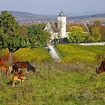 Hotel Flair-hotel Zum Benediktiner 3*