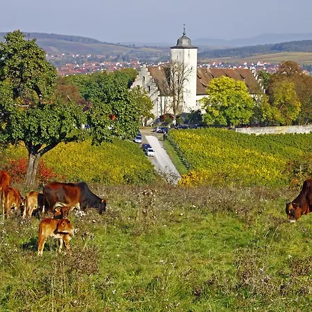 Otel Flair-hotel Zum Benediktiner 3*