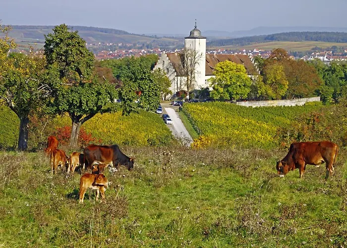 فندق Flair-hotel Zum Benediktiner 3*